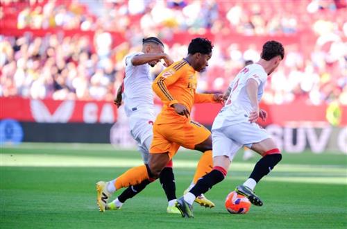 Campo Bet 888: Ultimate Online Betting Guide
